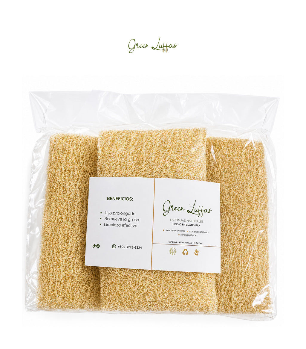 Kit Esponja lavavajillas  - GL014